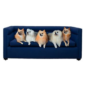 SOFÁ PET CHESTER – Muebles Mobelo